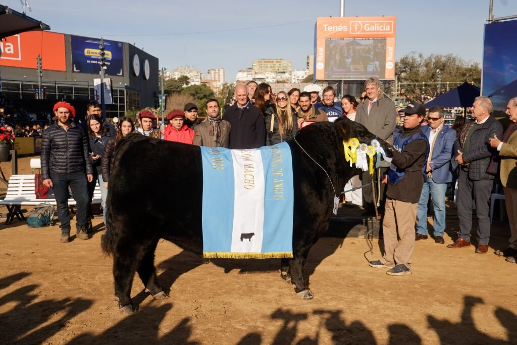 En Una Final Nica Angus Y Criollos Consagraron Sus Grandes Campeones