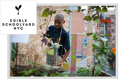 Edible Schoolyard NYC