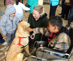 A Projects Abroad volunteer on the Canine Therapy Project in Bolivia helps young children interact with a trained therapy dog